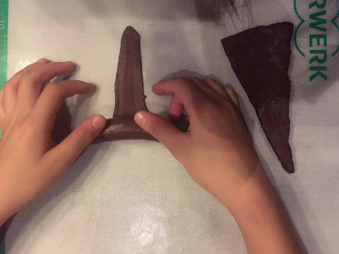 Step 12