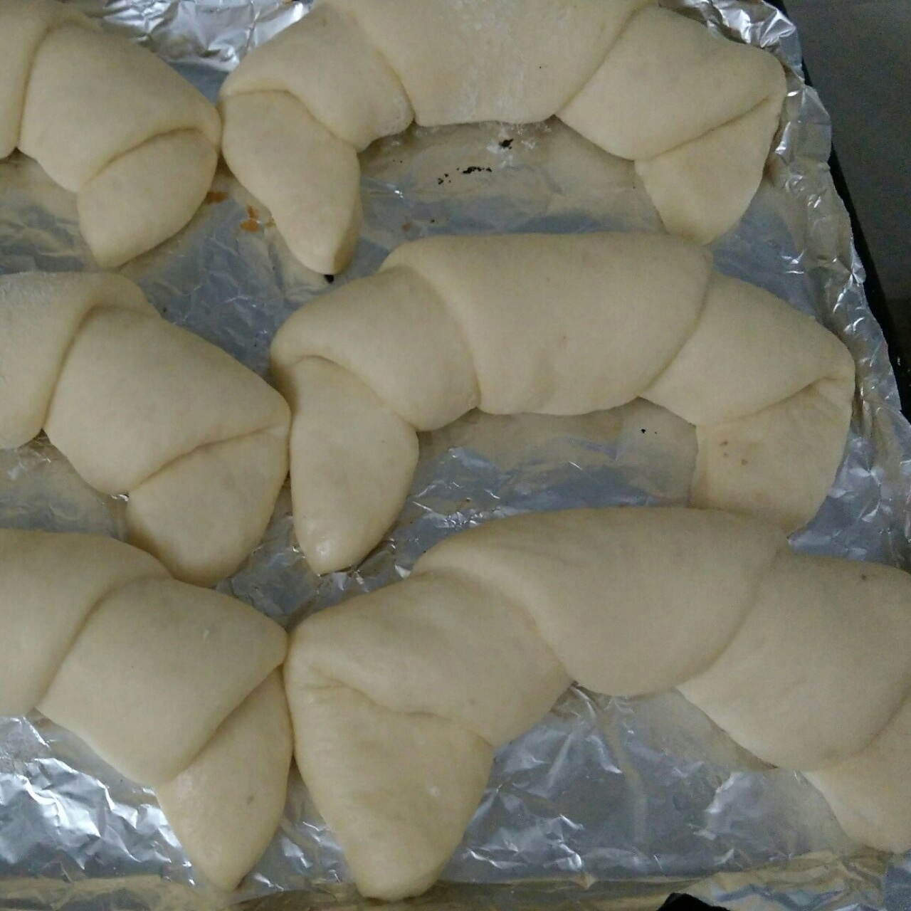 Step 12