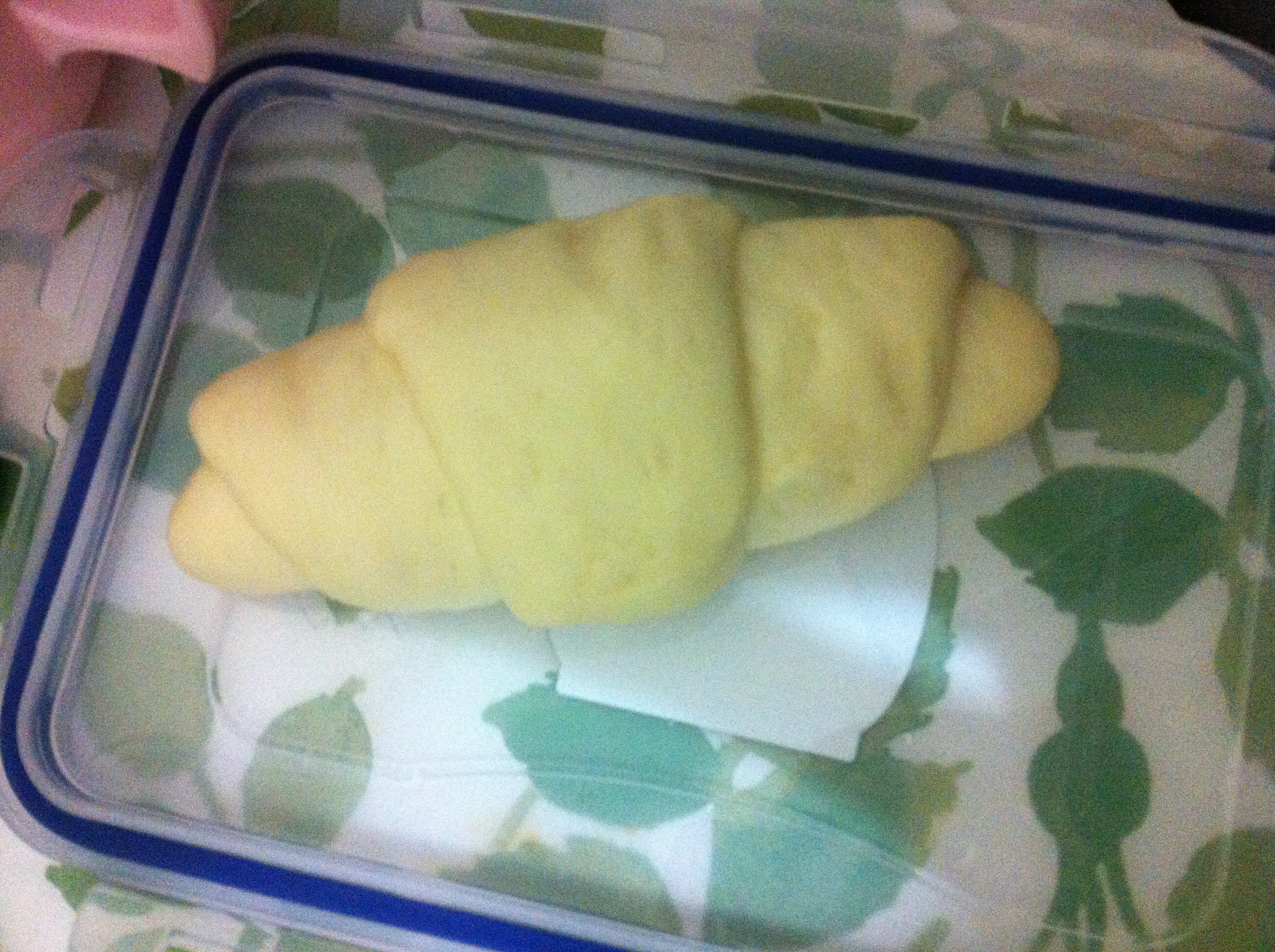Step 5