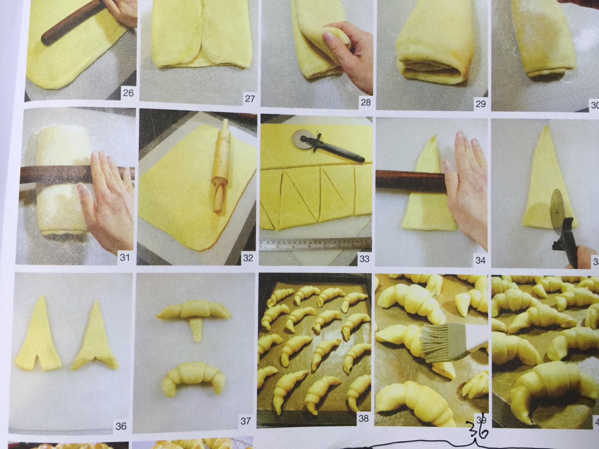 Step 12