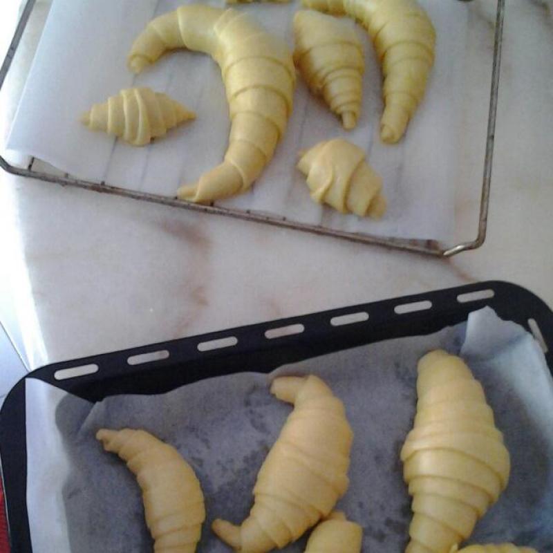 Step 14