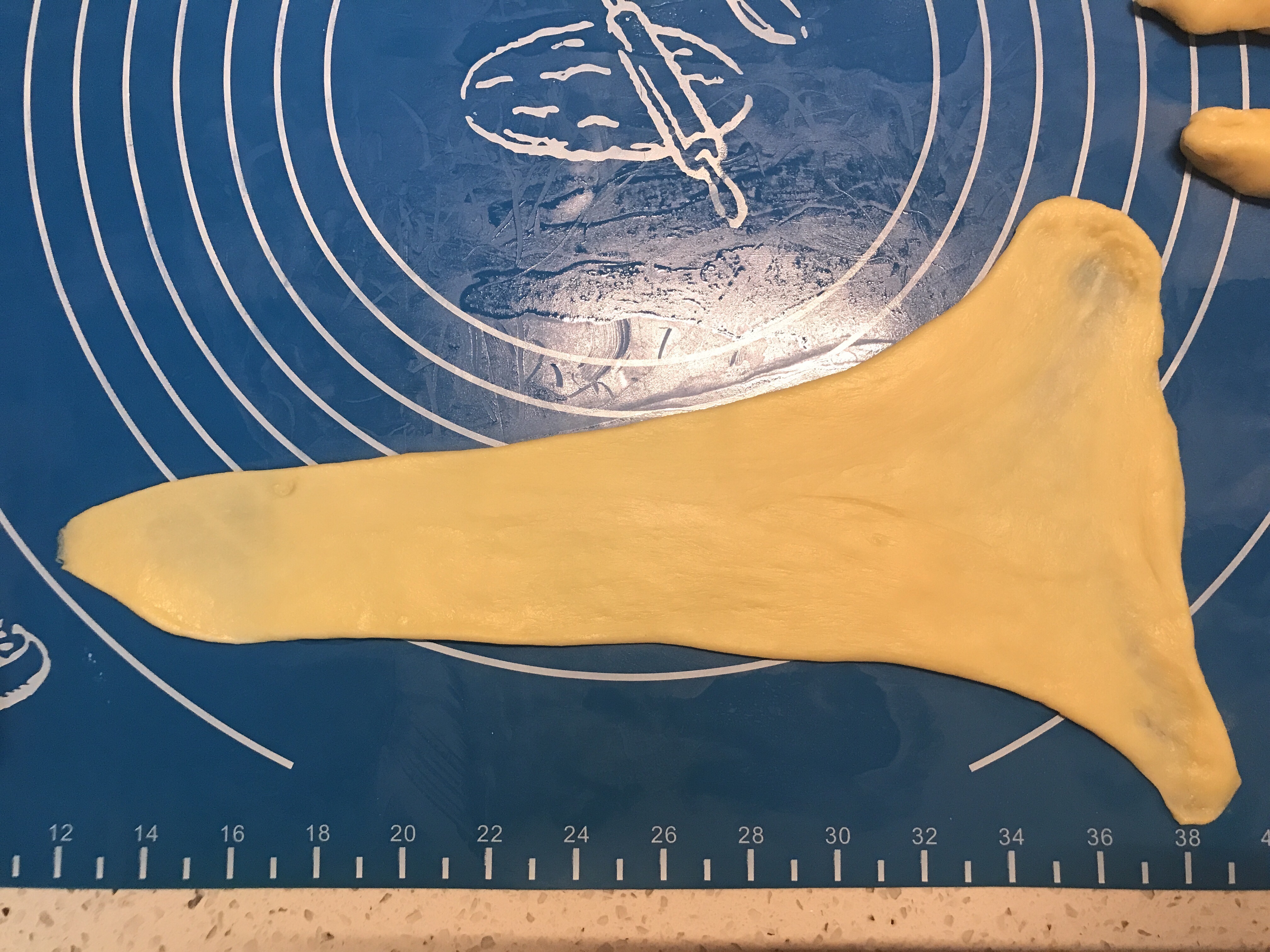 Step 5