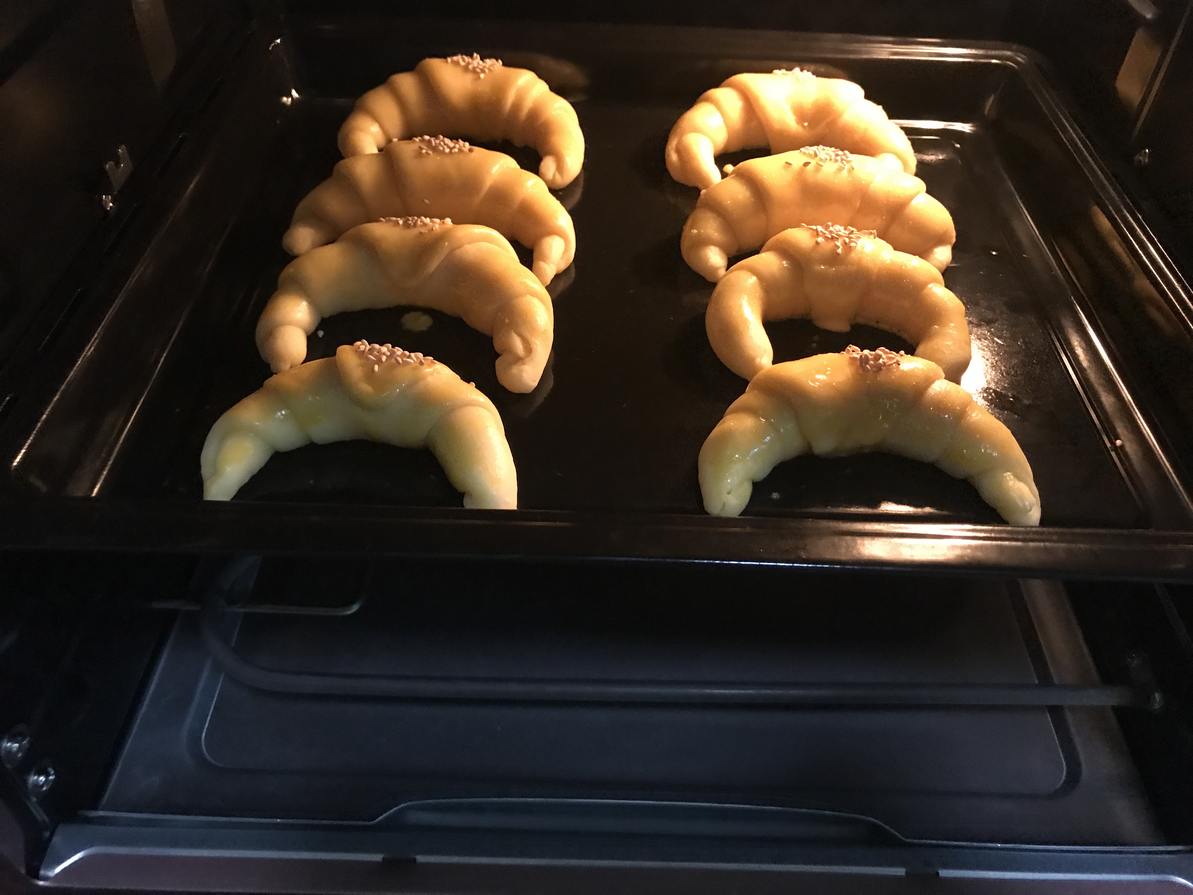Step 8
