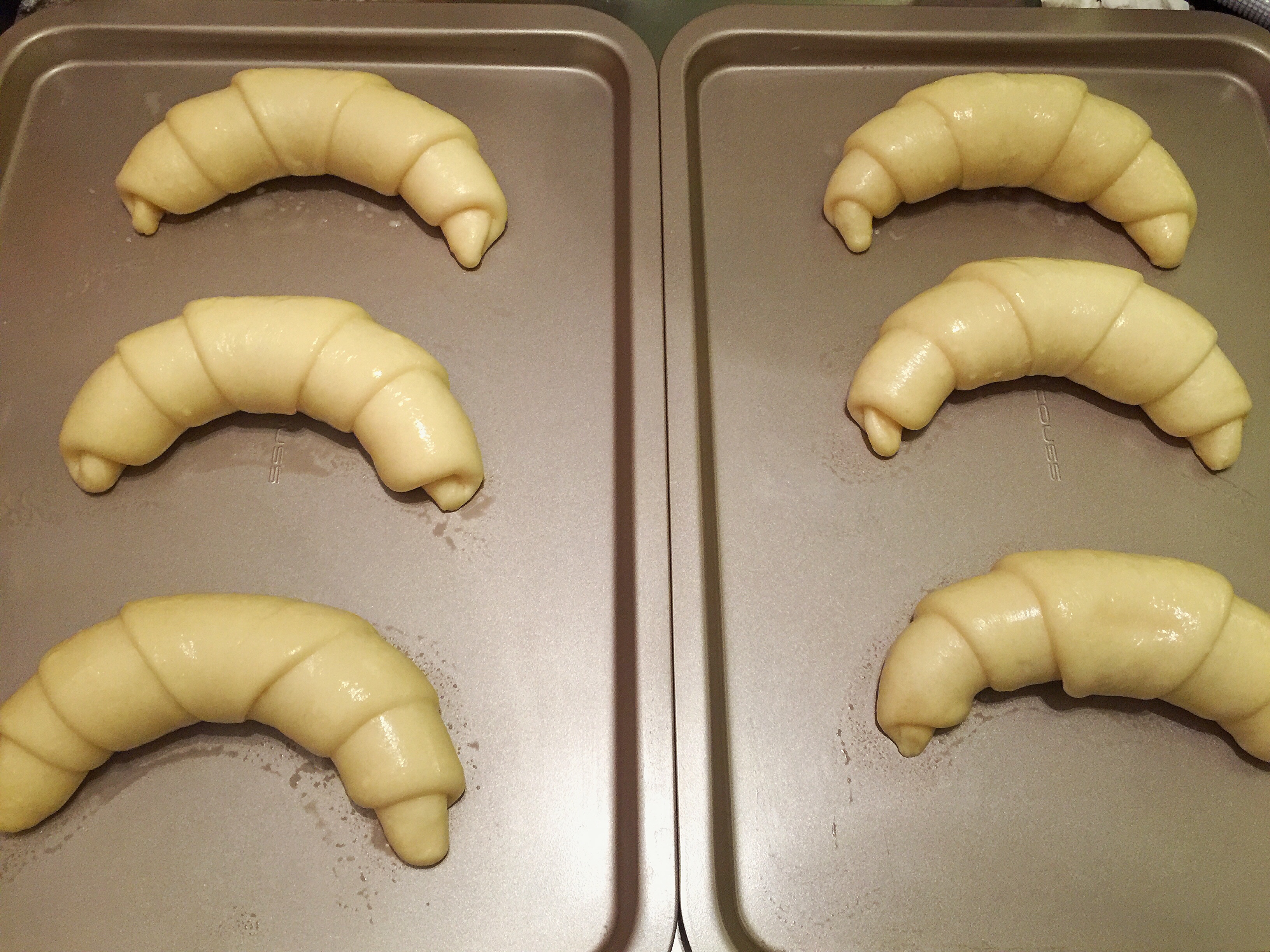 Step 12