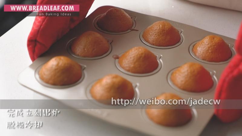 Step 11