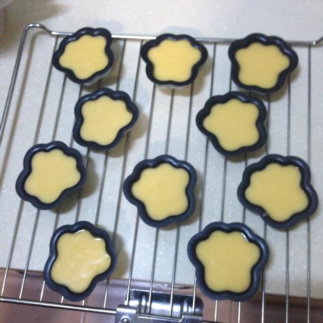 Step 10