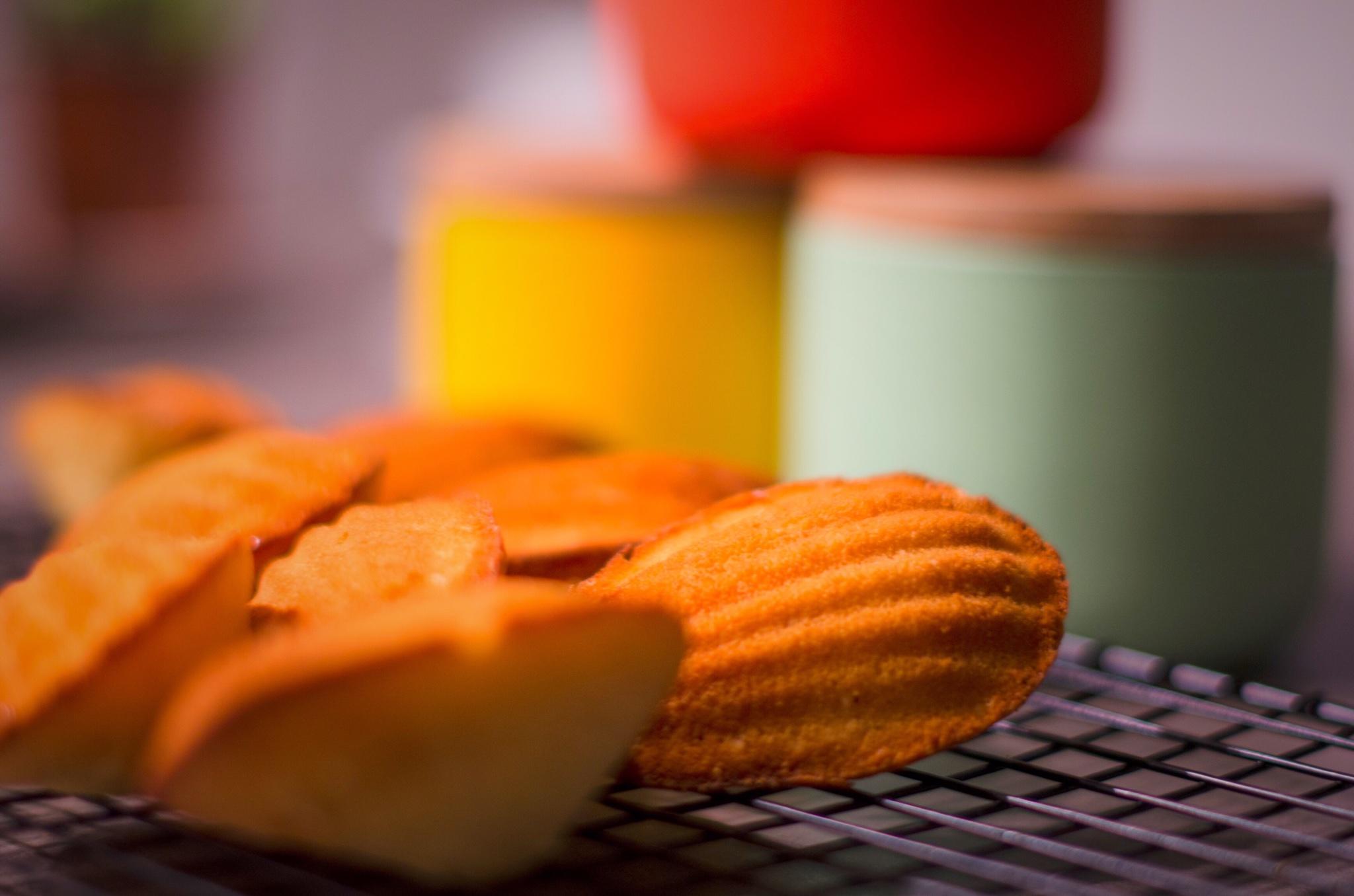 蜂蜜玛德琳（无糖低油超好吃）