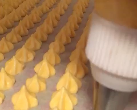 Step 13