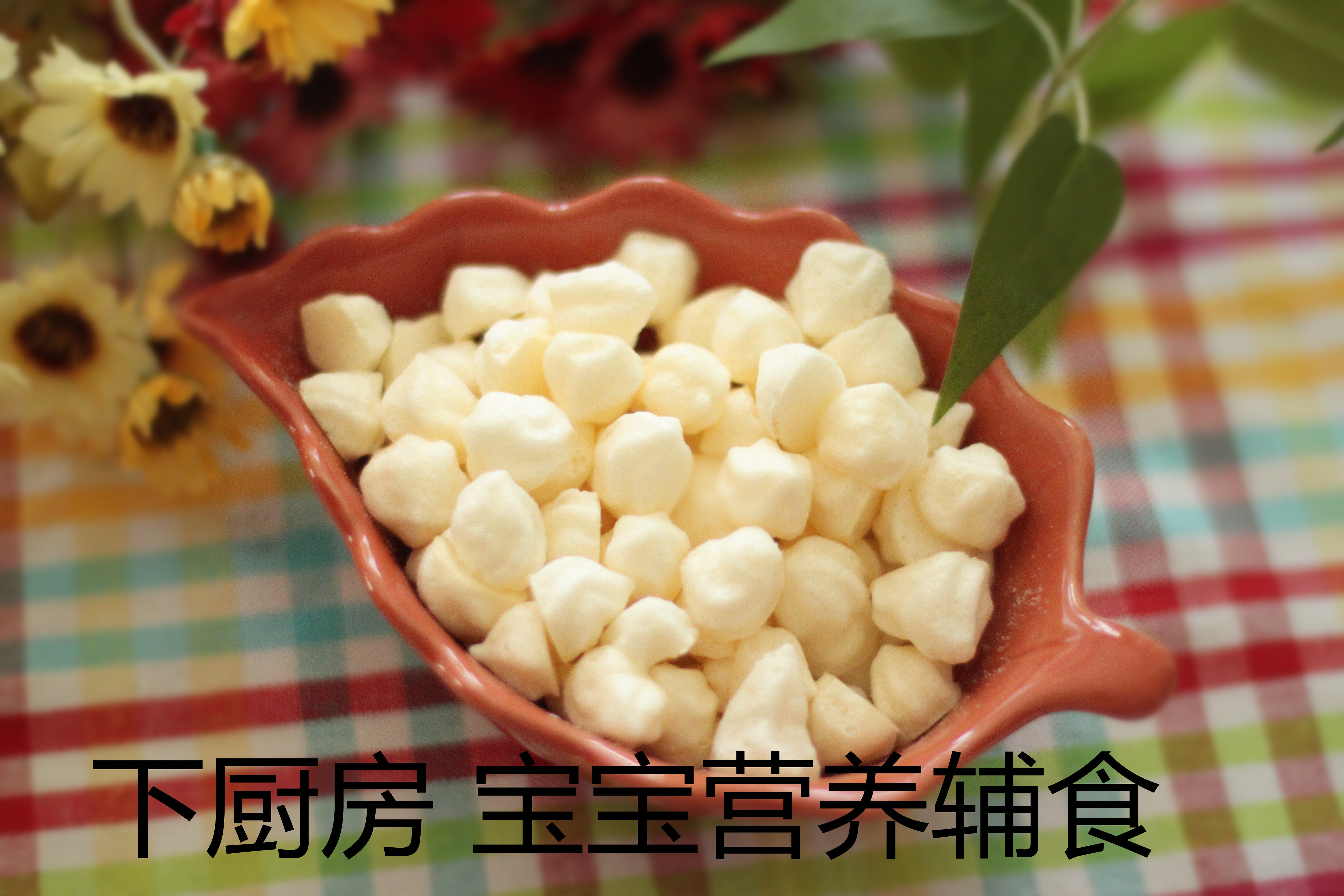 【酸奶溶豆】宝宝最爱吃的健康小零食，零失败的制作教程来啦！