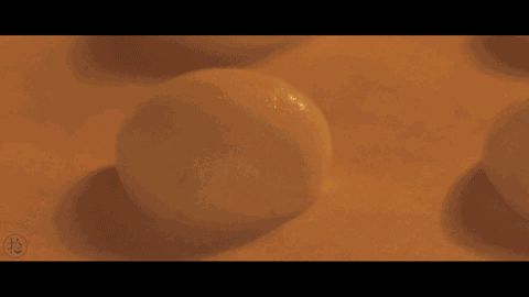 Step 12
