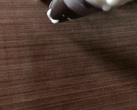 Step 14