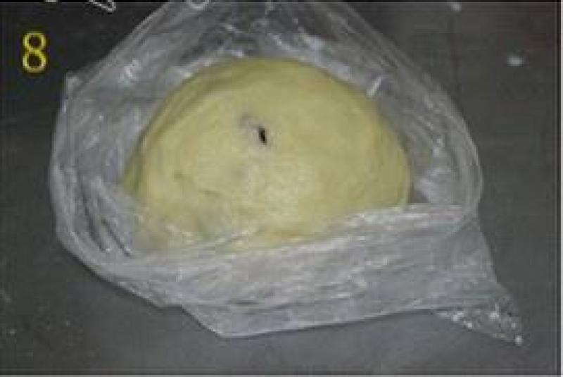 Step 8