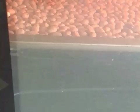 Step 1